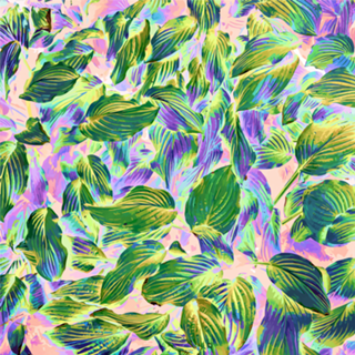 Happy Leaves