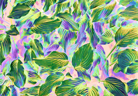 Happy Leaves