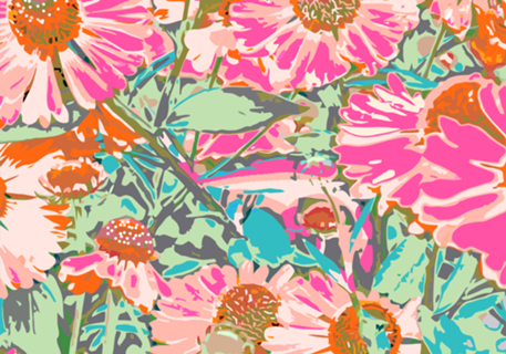 Pink Sunflower