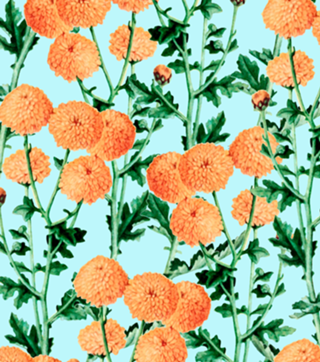 Summer Bloom