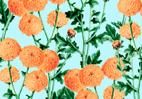 Summer Bloom