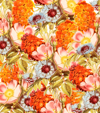 Coral Bloom
