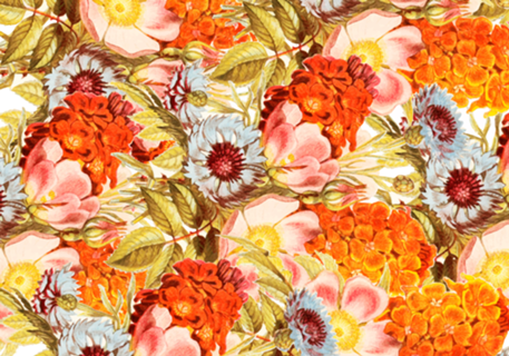 Coral Bloom
