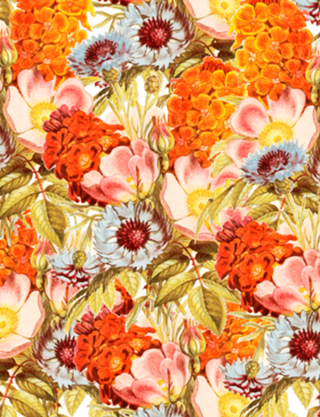Coral Bloom