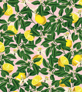 Lemonade