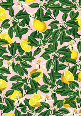 Lemonade