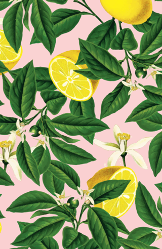 Lemonade
