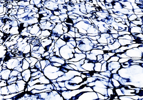 Dye Painted Waters