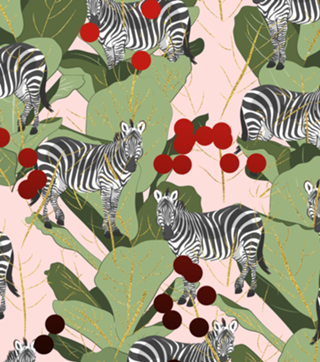 Zebra Harem