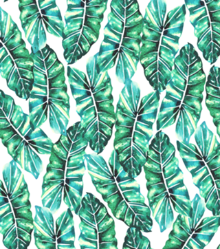 Leafy Wonder V2