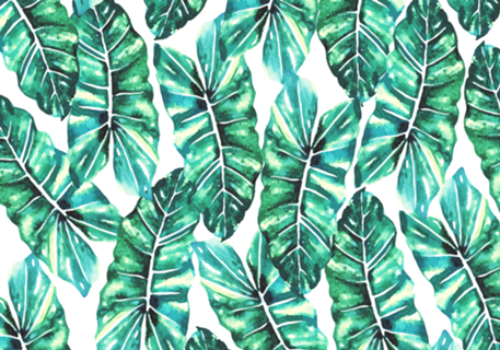 Leafy Wonder V2