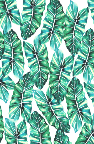 Leafy Wonder V2