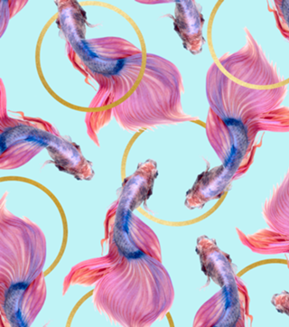 HullaHoops