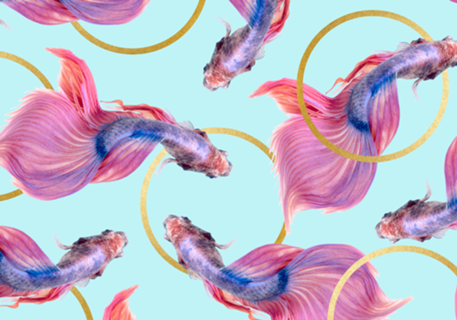 HullaHoops