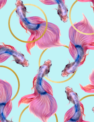 HullaHoops