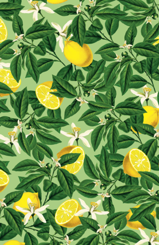 Lemonade V2