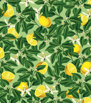 Lemonade V2