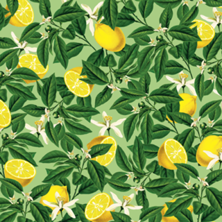 Lemonade V2