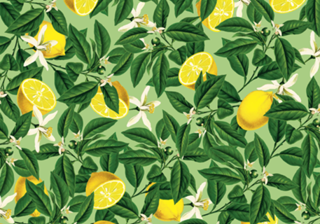 Lemonade V2