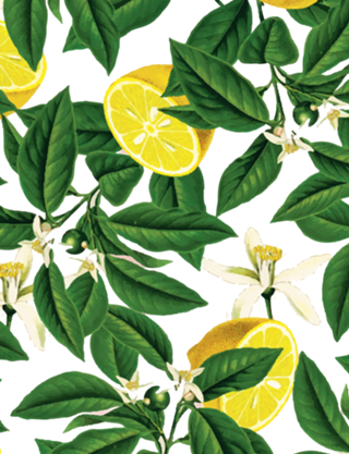 Lemonade V2