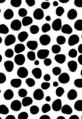 Never Change Your Spots