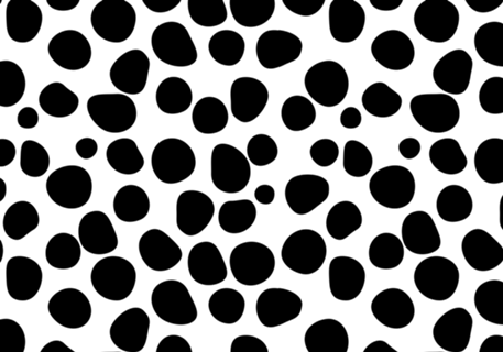 Never Change Your Spots
