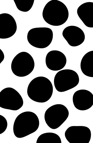Never Change Your Spots