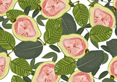 Guava