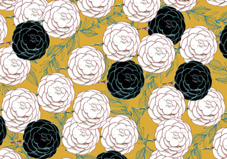 Carnations
