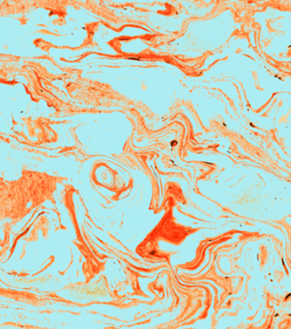 Flamingo and Sea Marble
