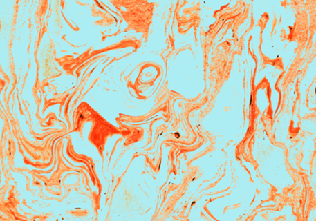 Flamingo and Sea Marble