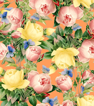 Flora
