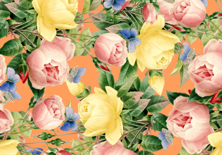 Flora
