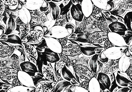 Monochrome