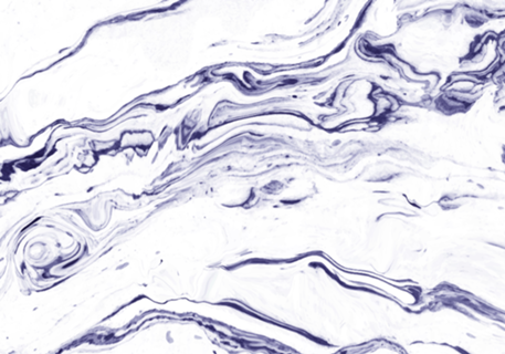 Navy Blue Marble