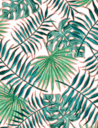 Bali ||