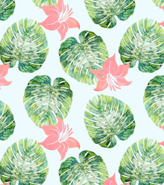 Monstera and Pink