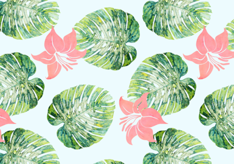 Monstera and Pink