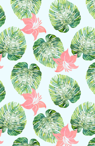 Monstera and Pink