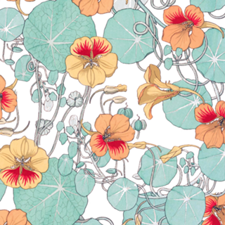 Lily Pond
