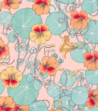 Lily Pond