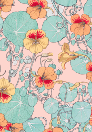 Lily Pond