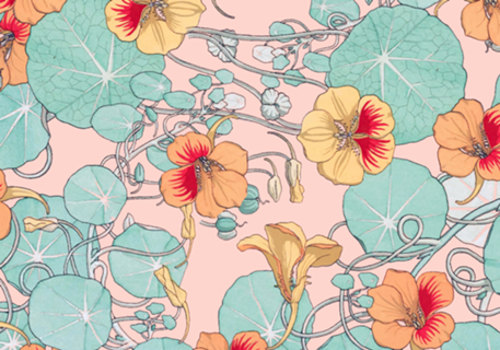 Lily Pond