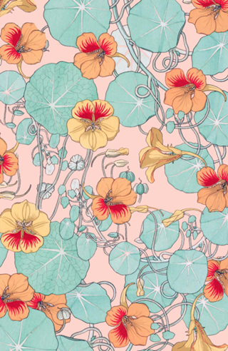 Lily Pond