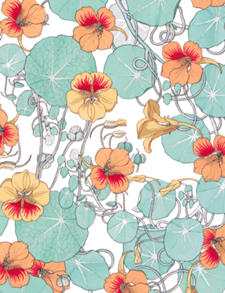 Lily Pond
