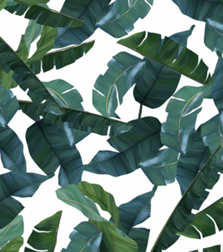 Banana Leaf Decor