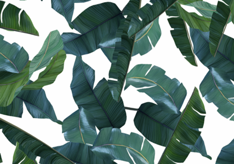 Banana Leaf Decor