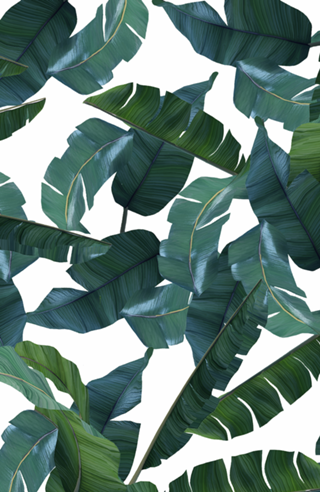 Banana Leaf Decor