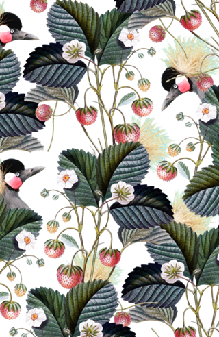 Strawberry Bush Hide-Out