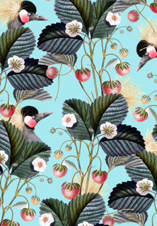 Strawberry Bush Hide-Out